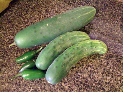 cucumbers and jalapenos