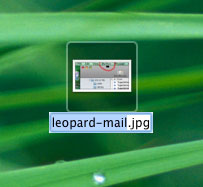 Renaming files in Leopard is easy!
