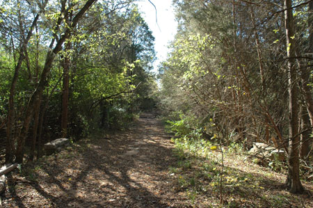 Old Stones River Road showing fencing and drainage bridge