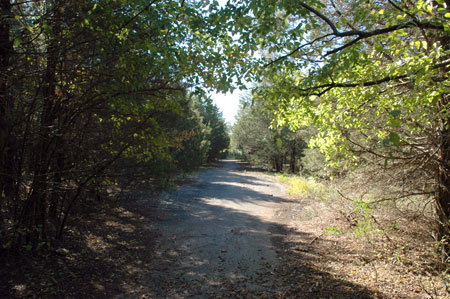 Old Stones River Road