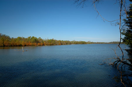 View of Percy Priest Lake from Old Stones River Road