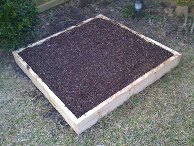 Square Foot Garden with Soil