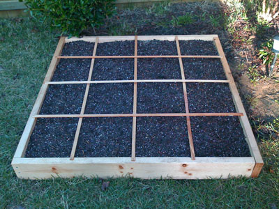 Square Foot Garden