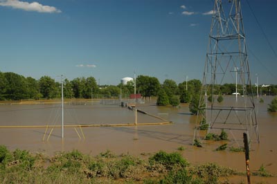 USN Fields